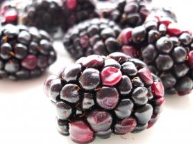 Brombeeren | Hochgeladen von: JuliFisch Brombeeren | Hochgeladen von: JuliFisch
