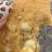 Subway Cookie, White Macadamia Nut von mariefrisch | Hochgeladen von: mariefrisch