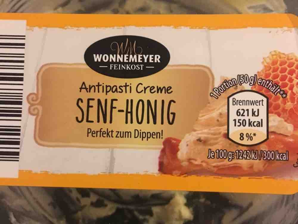Senf - Honig Creme , Antipasti Creme  von Antjekuepper | Hochgeladen von: Antjekuepper