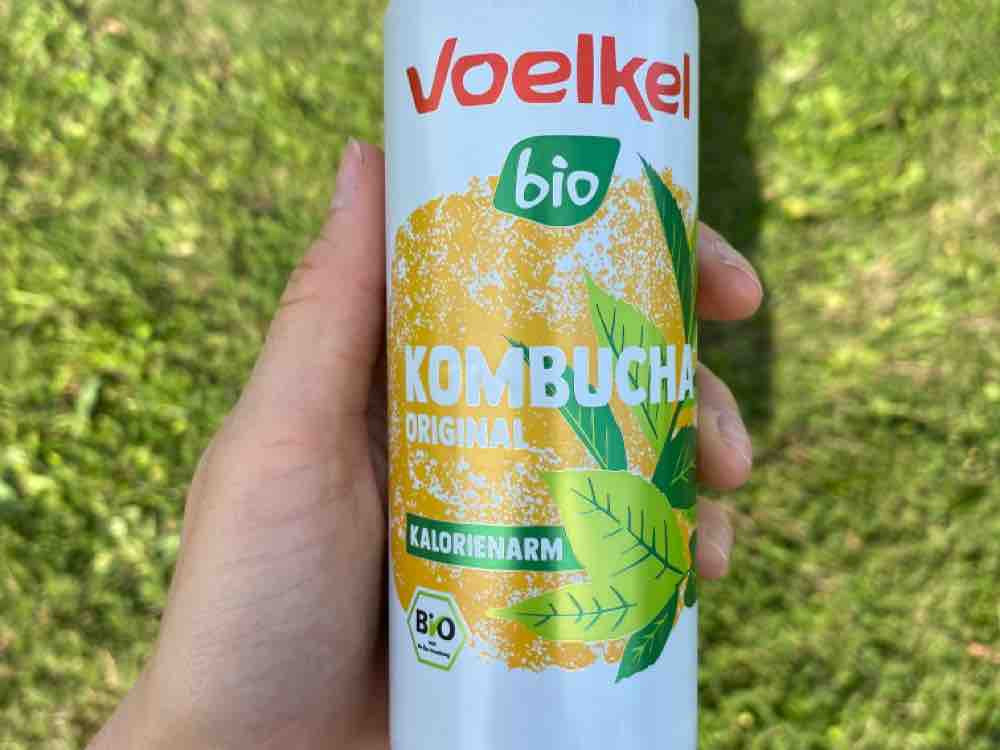 Kombucha original von MoraCarmen | Hochgeladen von: MoraCarmen