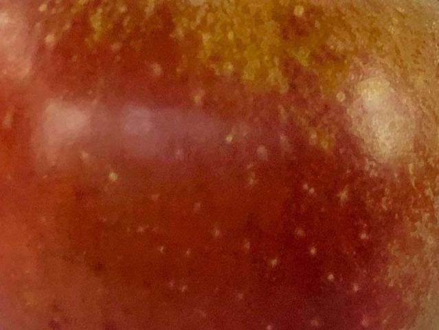 Hochgeladen von: Karin Stöhr Hochgeladen von: Karin Stöhr