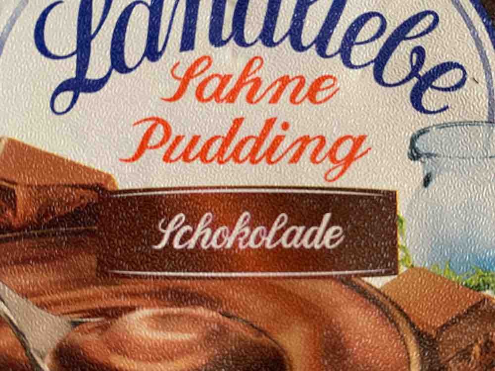 Sahne Pudding , Schokolade  von Skex9357 | Hochgeladen von: Skex9357
