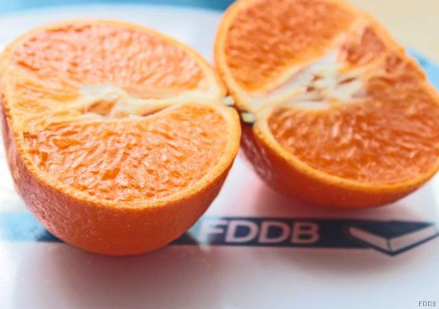 Orange, frisch | Uploaded by: JuliFisch