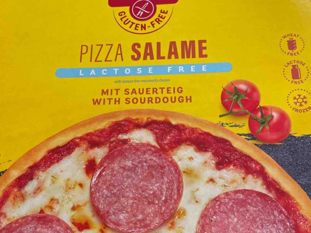 Pizza Salami Glutenfrei von inka313 | Hochgeladen von: inka313