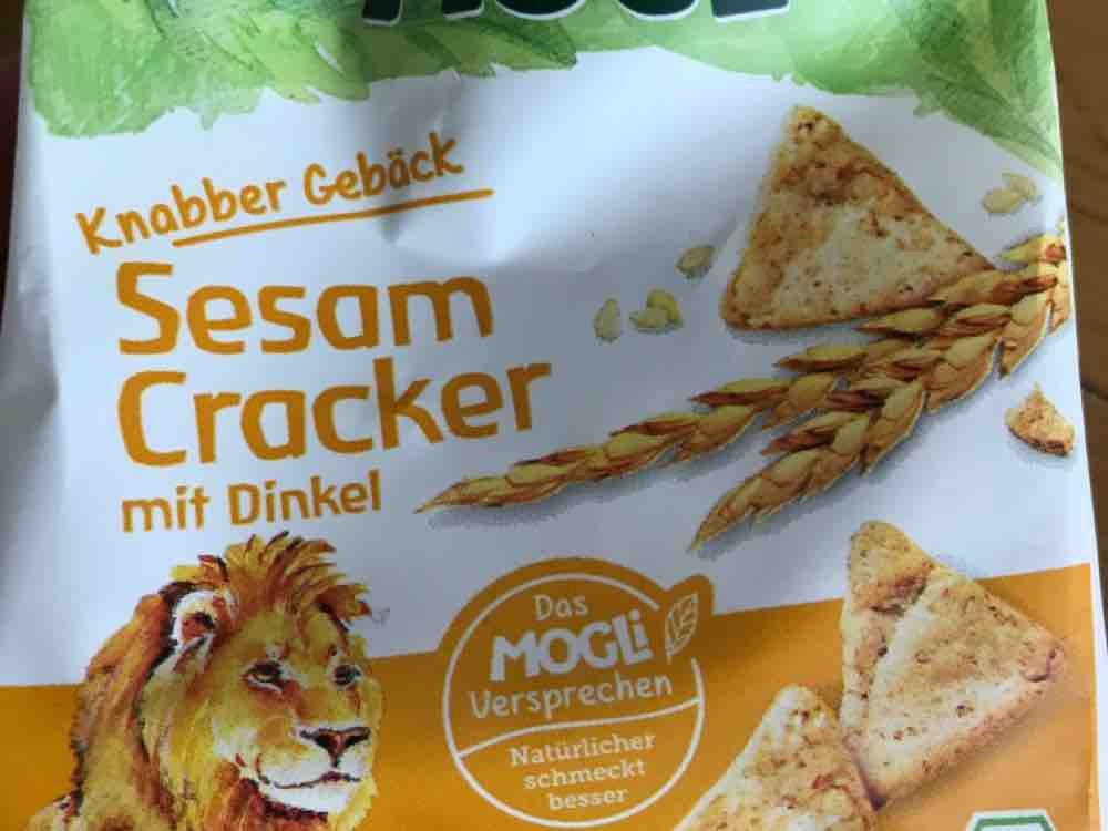 Sesam Cracker, mit Dinkel von alinaxbianca | Hochgeladen von: alinaxbianca