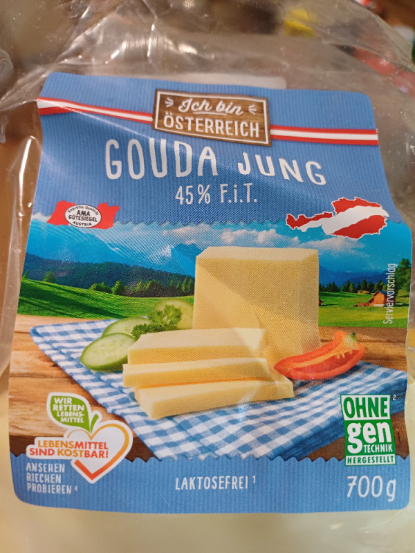 Gouda Jung 45% F.i.T. von spkickst | Hochgeladen von: spkickst