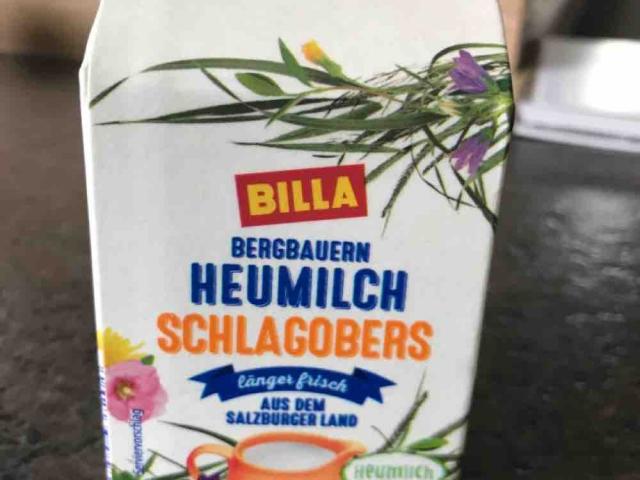 Bergbauern Heumilch Schlagobers, länger frisch von karinoesi | Hochgeladen von: karinoesi