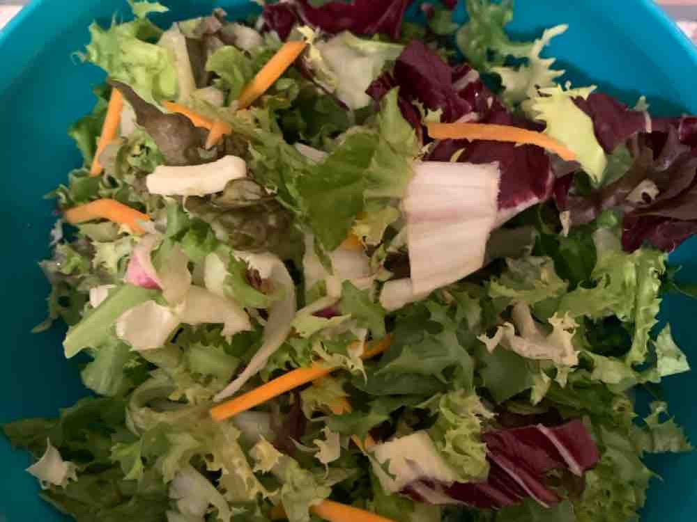 Salat ohne Dressing von SabinePax | Hochgeladen von: SabinePax