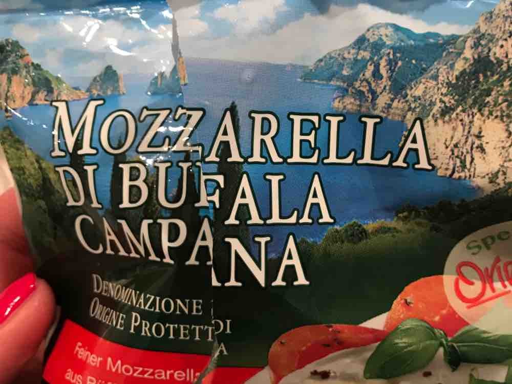 Mozarella Di Bufala Campana, aus Büffelmilch von TinaMer | Hochgeladen von: TinaMer