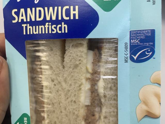Thunfisch Sandwich von erengr46 | Hochgeladen von: erengr46 Thunfisch Sandwich von erengr46 | Hochgeladen von: erengr46