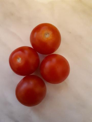 Tomaten  von JanaDD | Hochgeladen von: JanaDD