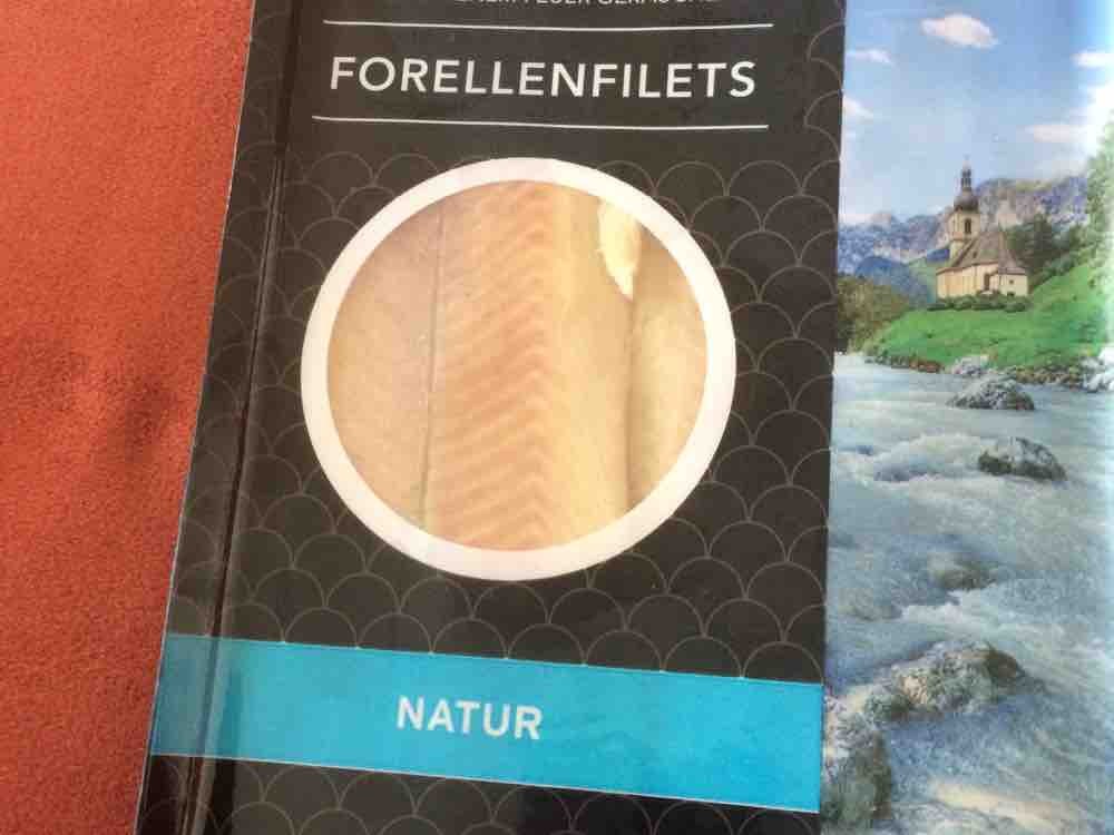 Forellen-Filets, Fisch von hollus | Hochgeladen von: hollus