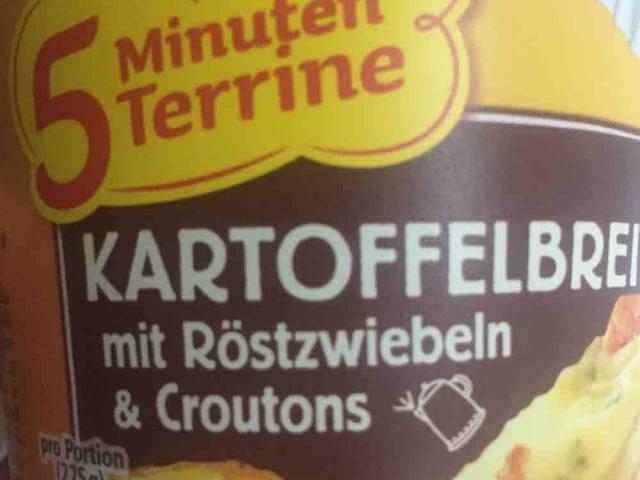 5 Minuten Terrine Kartoffelbrei mit Rstzwiebeln & Croutons v | Hochgeladen von: s15evo363