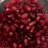 Pomegranate seeds fresh by marlongeil | Hochgeladen von: marlongeil