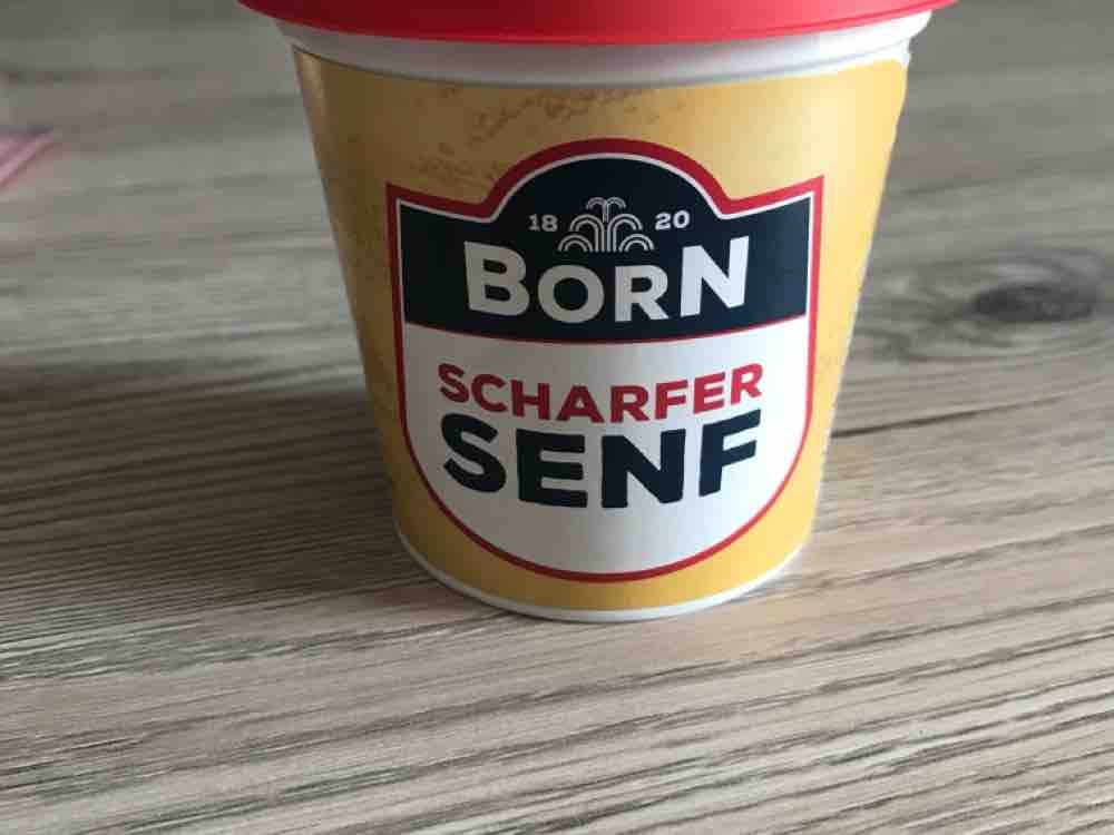 Born senf scharf von marcus4567 | Hochgeladen von: marcus4567
