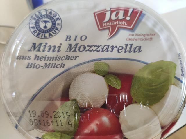 Mini Mozzarella, Bio von h1z | Hochgeladen von: h1z