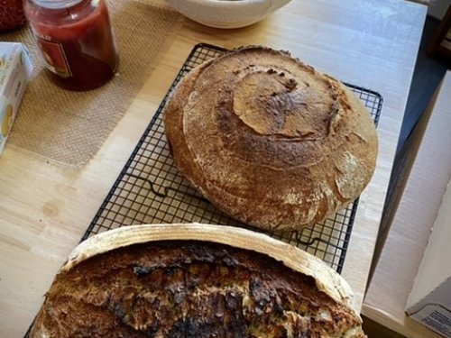 Weizenvollkornbrot/brötchen | Hochgeladen von: mitilo