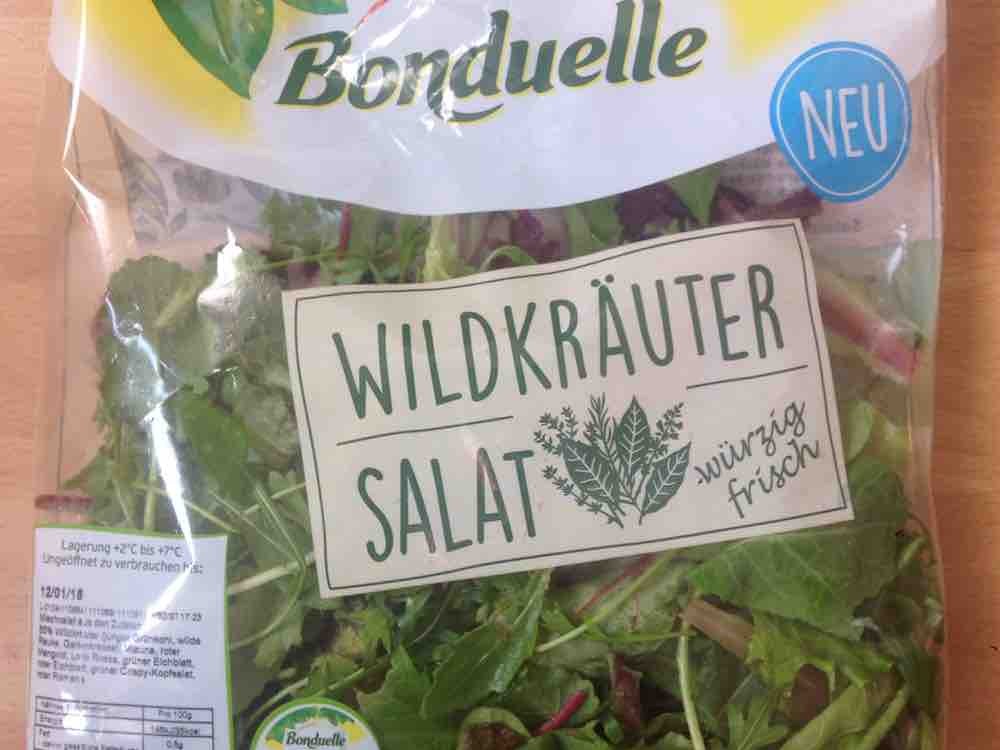 Wildkruter Salat  von djrichter314 | Hochgeladen von: djrichter314