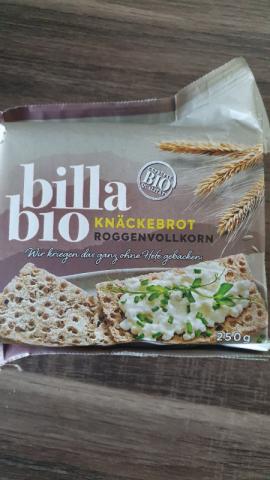 Knäckebrot Roggenvollkorn von Hofi28 | Hochgeladen von: Hofi28