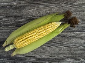 Hochgeladen von: swainn