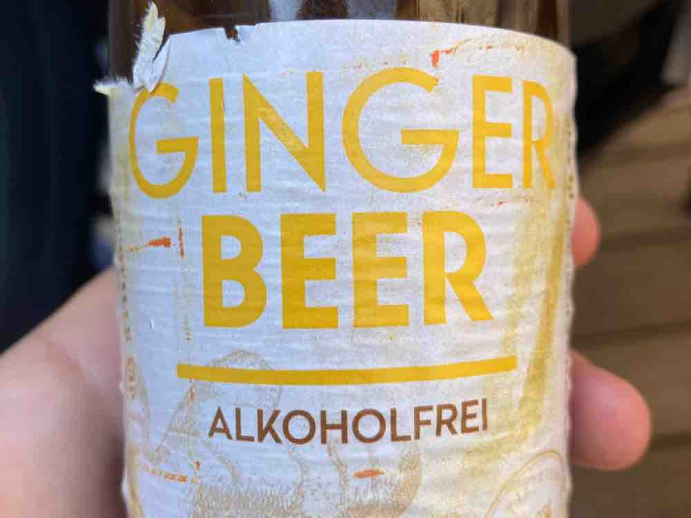 Ginger Beer alkoholfrei von J2theL | Hochgeladen von: J2theL