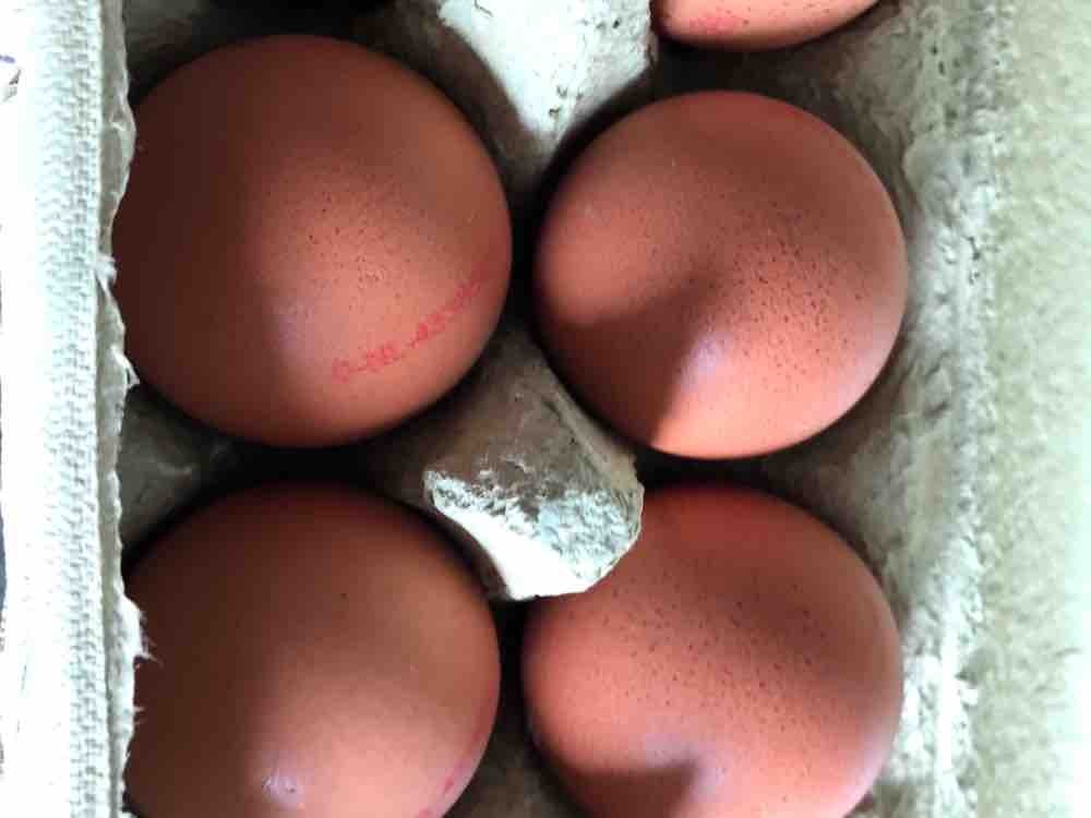 Frische Eier, Freilandhaltung Größe M von alexhepp | Hochgeladen von: alexhepp