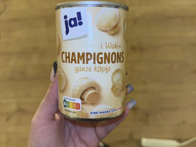 Hochgeladen von: lilometerstand