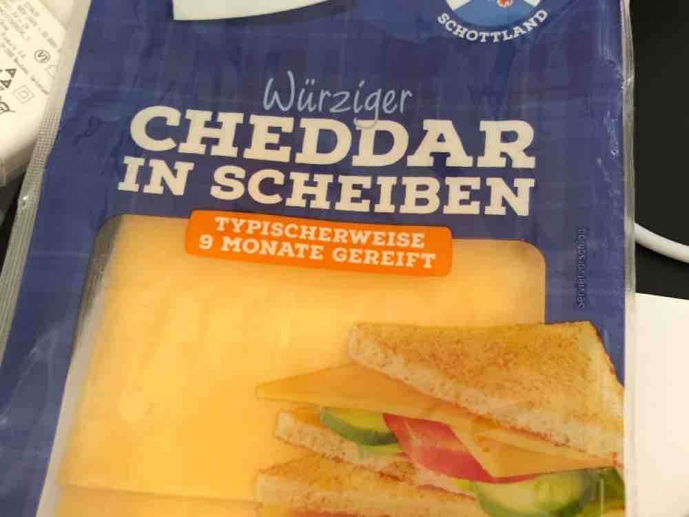 Würziger Cheddar, 9 Monate gereift von Robert33 | Hochgeladen von: Robert33