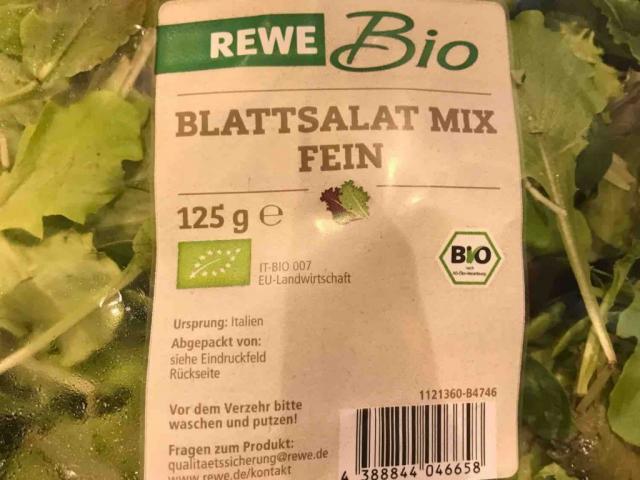 Blattsalat Mix, Lattughino grün, Lattughino rot, Blatt von adria | Hochgeladen von: adrianaaa