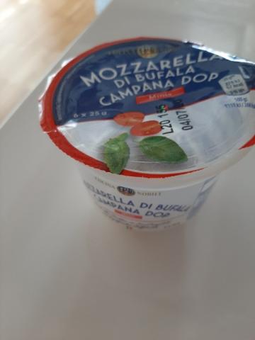 Mozzarella Di Bufala campana dop, Minis von ConnyHaderer | Hochgeladen von: ConnyHaderer