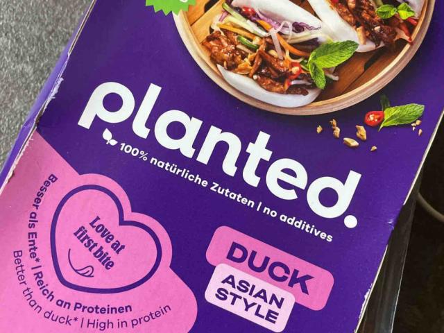 Planted Duck, Asian Style von Nadja115 | Hochgeladen von: Nadja115