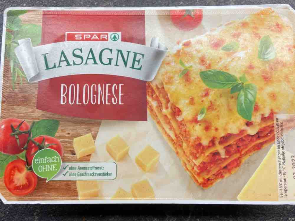 Lasagne Bolognese (Paolos) von lamjata | Hochgeladen von: lamjata