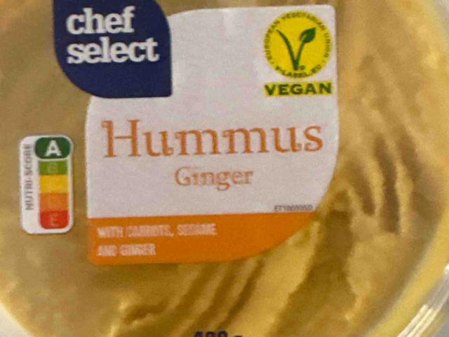 Hummus, Ginger by lotk | Uploaded by: lotk