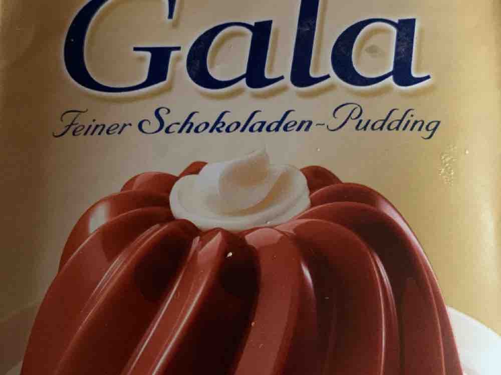 Gala Feiner Schokoladen-Pudding (Pulver) von nimda | Hochgeladen von: nimda