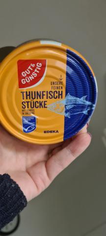 Thunfisch Stücke, mit Gemüse im Dressing von Heiki5 | Hochgeladen von: Heiki5