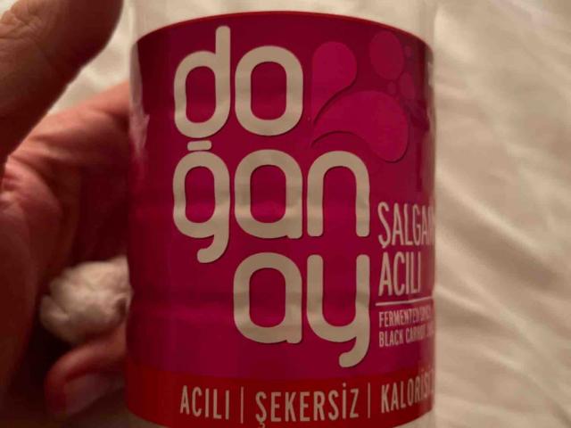 Salgam Acili, fermented black carrot juice von emanuelepa | Hochgeladen von: emanuelepa