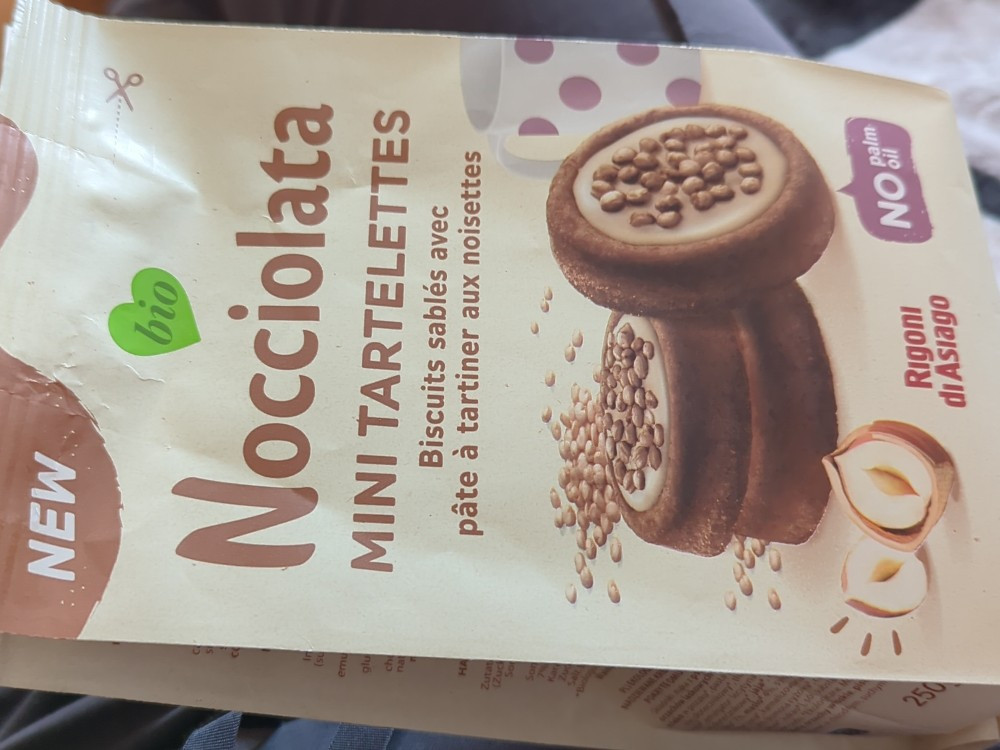 Nocciolata Mini Tartelettes von AnjaU | Hochgeladen von: AnjaU Nocciolata Mini Tartelettes von AnjaU | Hochgeladen von: AnjaU