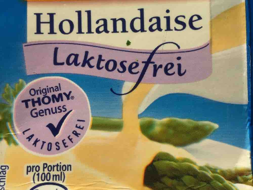 Sauce Hollandaise, laktosefrei von asgart73 | Hochgeladen von: asgart73