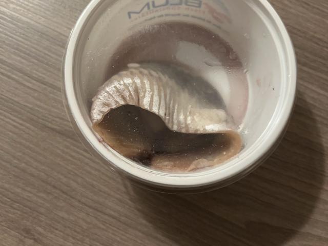 Hochgeladen von: molotov Hochgeladen von: molotov