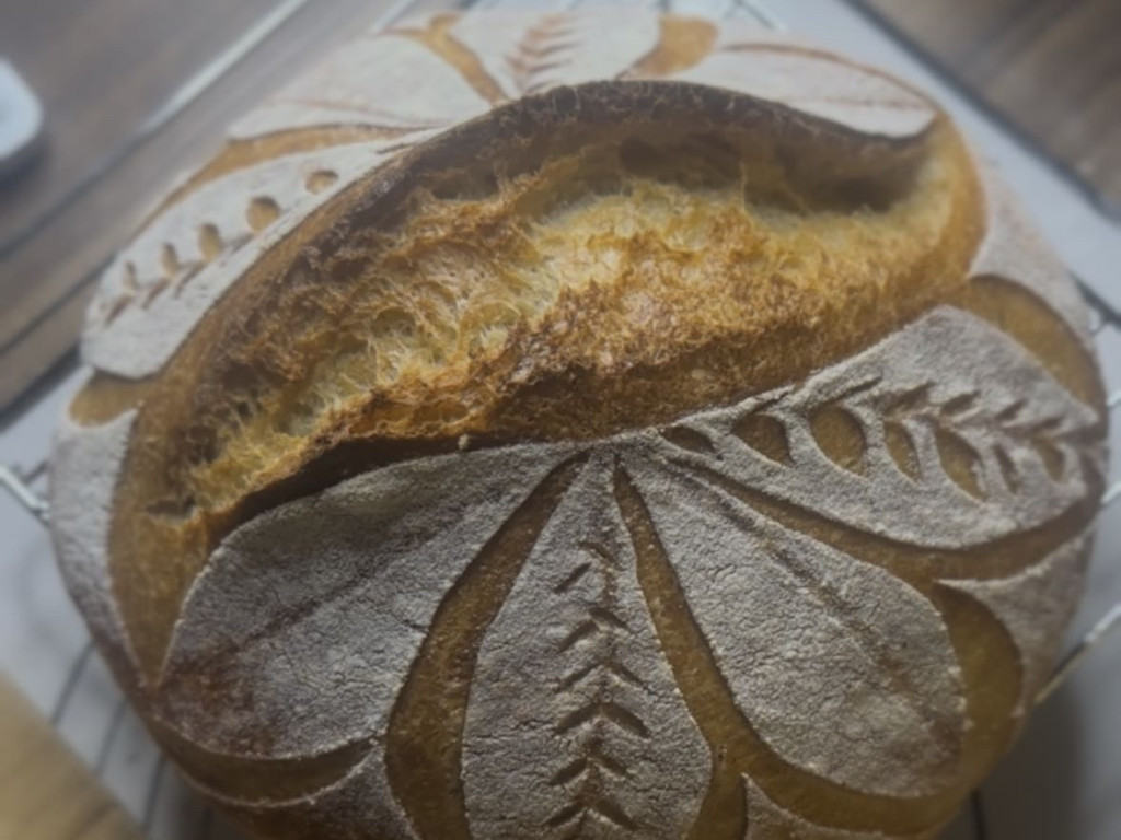 Hochgeladen von: Jaci1099