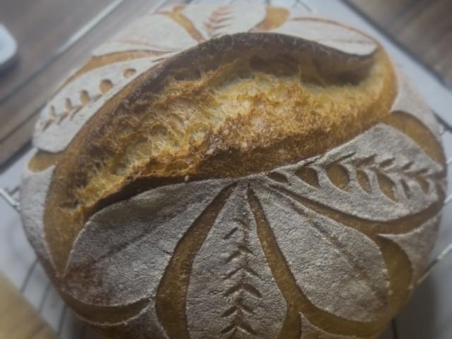 Hochgeladen von: Jaci1099