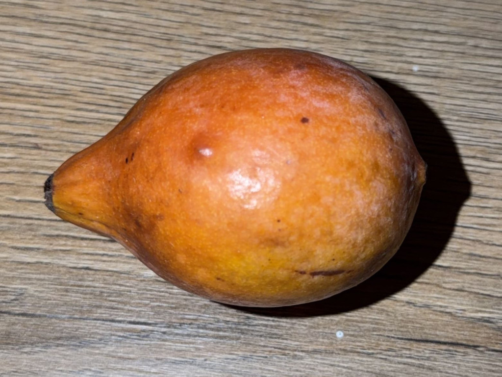 Hochgeladen von: Rom4ik89