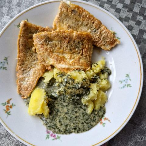 Zanderfilet in Eihülle von Nini53 | Hochgeladen von: Nini53 Zanderfilet in Eihülle von Nini53 | Hochgeladen von: Nini53