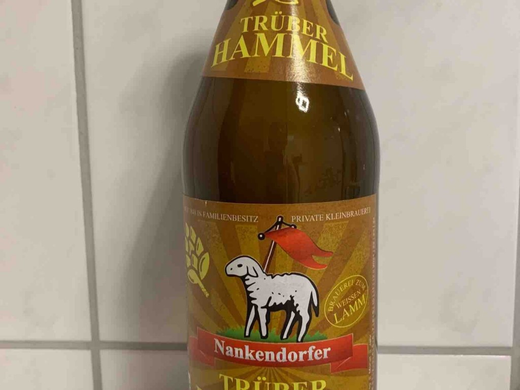 Trüber Hammel, Naturtrübes Pilsner von domi3434 | Hochgeladen von: domi3434