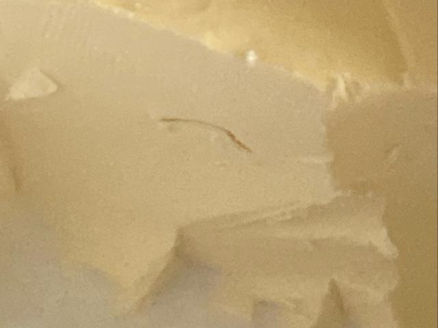 Hochgeladen von: PrunusPersica