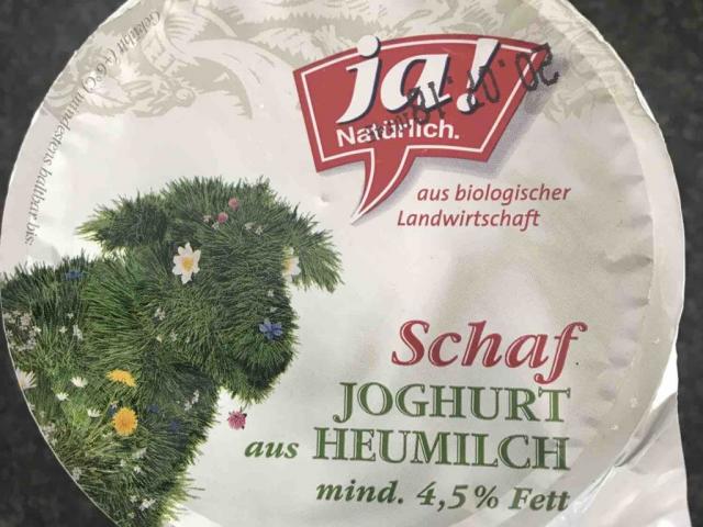 Schaf Joghurt, aus Heumilch von Isabellaa80 | Hochgeladen von: Isabellaa80