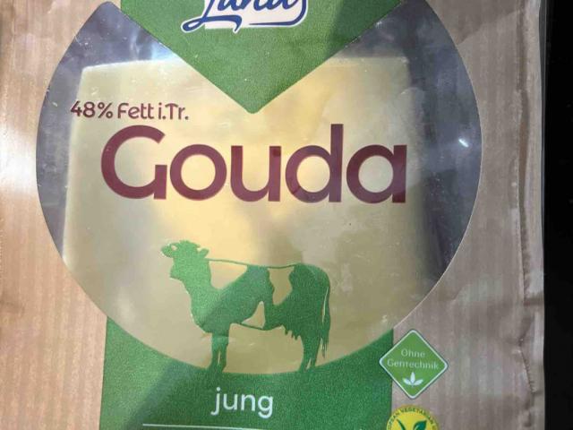 Gouda by sloppy | Uploaded by: sloppy