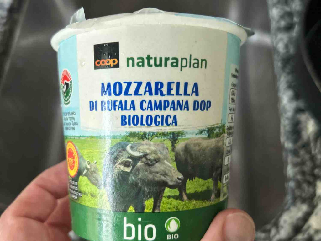 Mozzarella di Bufala Campana DOP, Biologica von kreisfuenf | Hochgeladen von: kreisfuenf