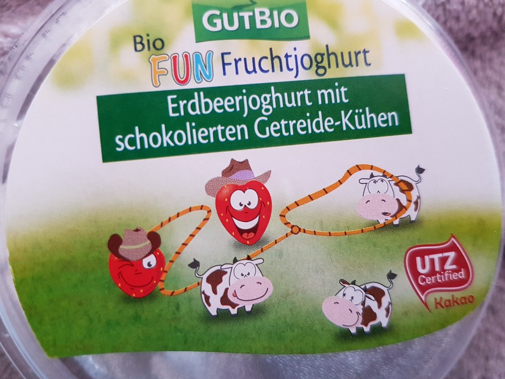 Bio Fun Fruchtjoghurt, Erdbeerjoghurt mit schokolierten Getreide | Hochgeladen von: MissShrek