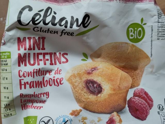 Mini Muffins Himbeer, glutenfrei von thorintombalinofit | Hochgeladen von: thorintombalinofit Mini Muffins Himbeer, glutenfrei von thorintombalinofit | Hochgeladen von: thorintombalinofit